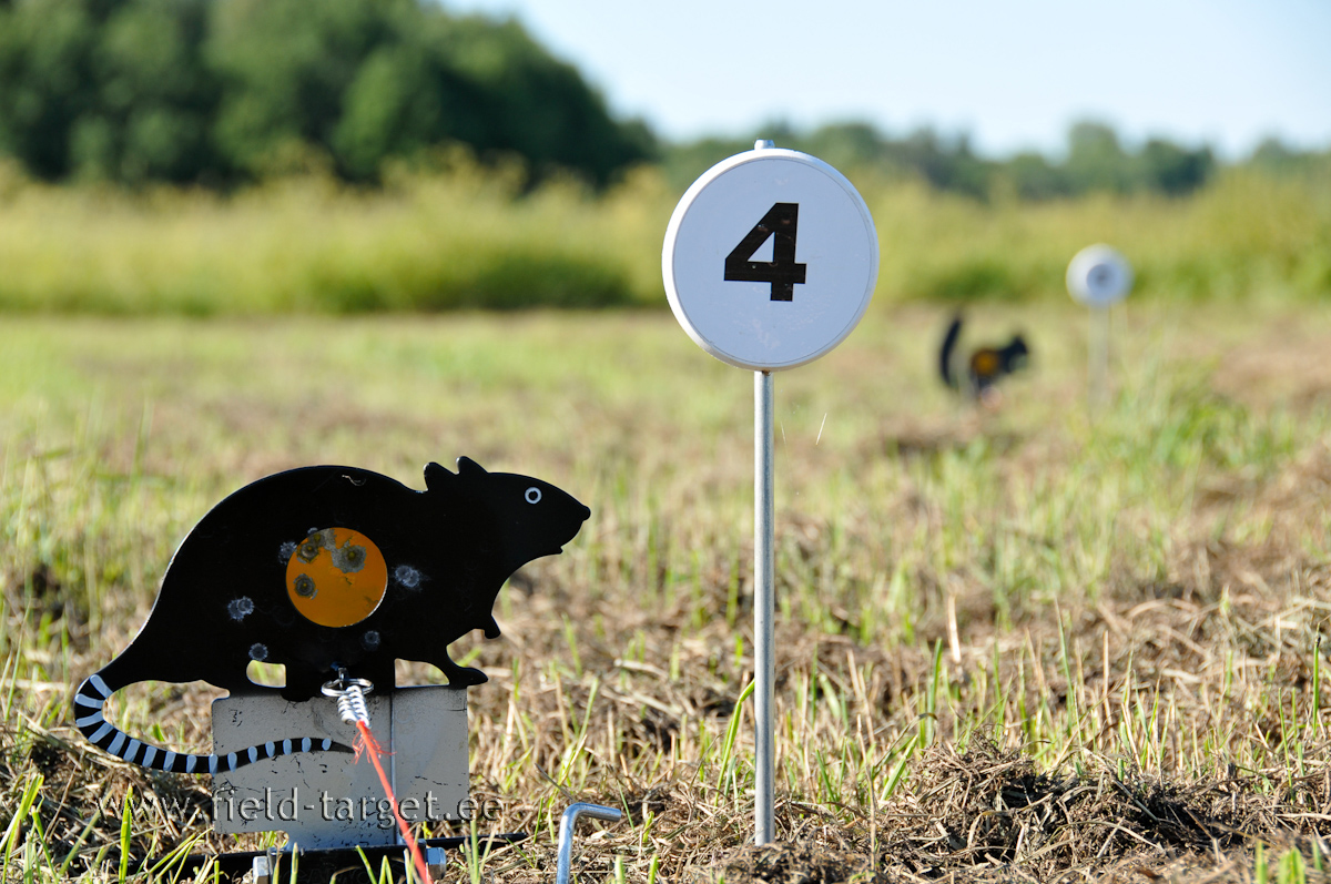 Roti triibuline saba teeb laskurid närviliseks